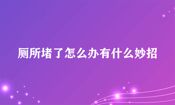 厕所堵了怎么办有什么妙招