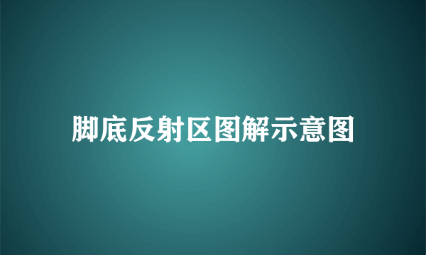 脚底反射区图解示意图