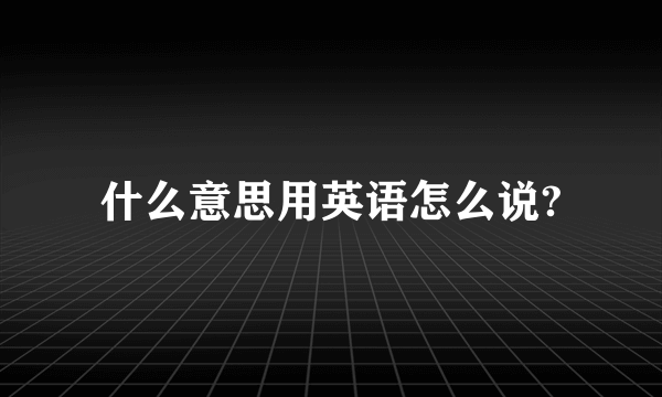 什么意思用英语怎么说?