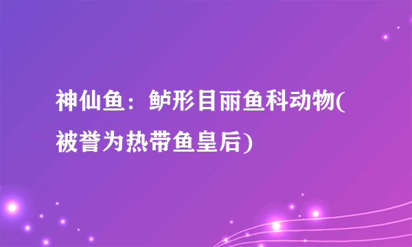 神仙鱼：鲈形目丽鱼科动物(被誉为热带鱼皇后)