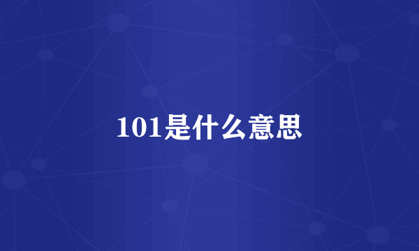 101是什么意思