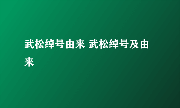 武松绰号由来 武松绰号及由来