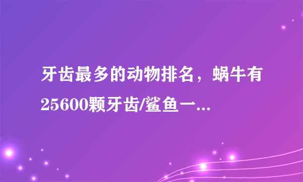 牙齿最多的动物排名，蜗牛有25600颗牙齿/鲨鱼一生换牙2万多颗