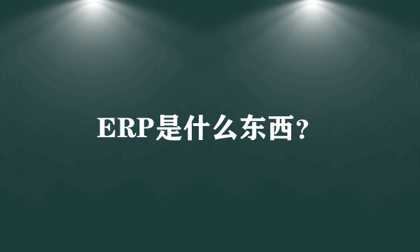 ERP是什么东西？