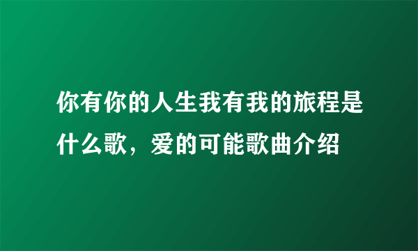 你有你的人生我有我的旅程是什么歌，爱的可能歌曲介绍