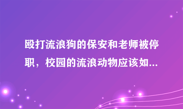 殴打流浪狗的保安和老师被停职，校园的流浪动物应该如何妥善处理？