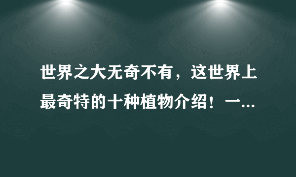 世界之大无奇不有，这世界上最奇特的十种植物介绍！一起来看看