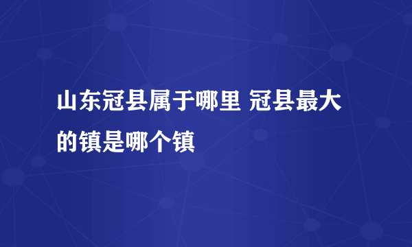 山东冠县属于哪里 冠县最大的镇是哪个镇