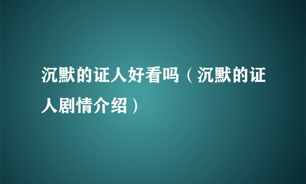 沉默的证人好看吗（沉默的证人剧情介绍）