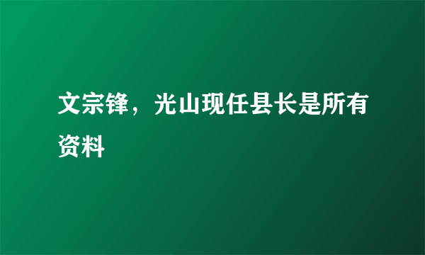 文宗锋，光山现任县长是所有资料