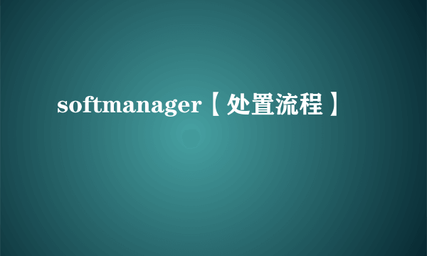 softmanager【处置流程】