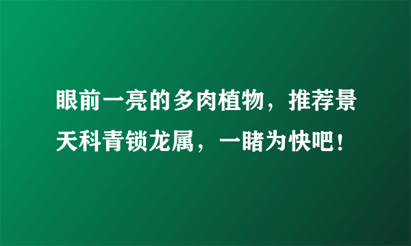 眼前一亮的多肉植物，推荐景天科青锁龙属，一睹为快吧！