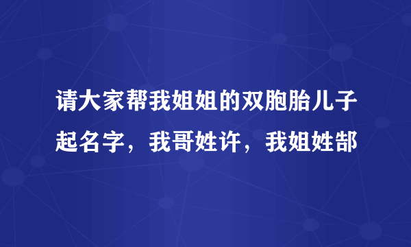 请大家帮我姐姐的双胞胎儿子起名字，我哥姓许，我姐姓郜