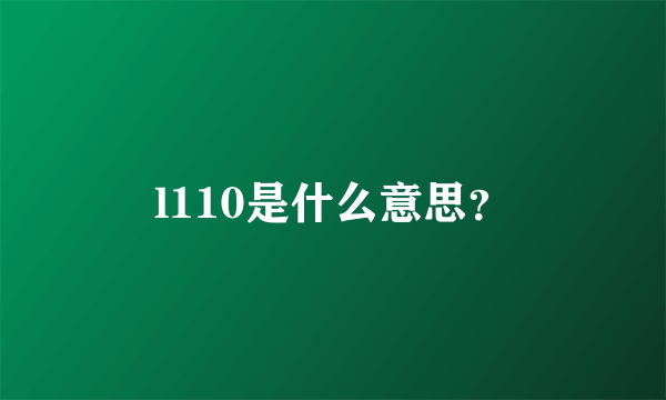 l110是什么意思？