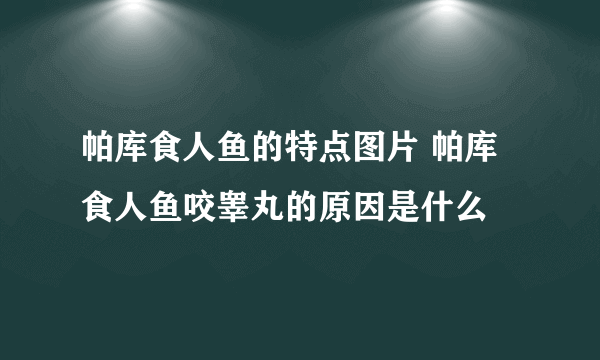 帕库食人鱼的特点图片 帕库食人鱼咬睾丸的原因是什么