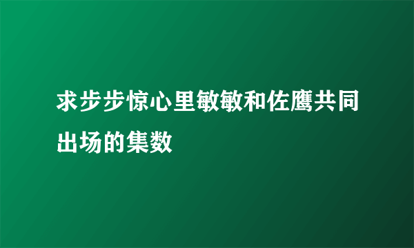 求步步惊心里敏敏和佐鹰共同出场的集数