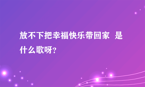 放不下把幸福快乐带回家  是什么歌呀？