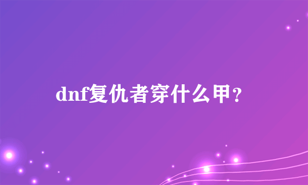 dnf复仇者穿什么甲？