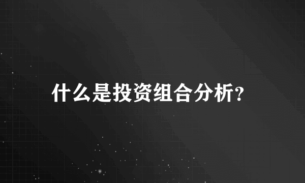 什么是投资组合分析？