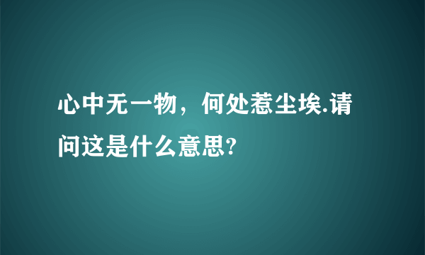 心中无一物，何处惹尘埃.请问这是什么意思?