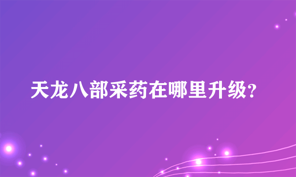 天龙八部采药在哪里升级？