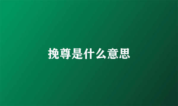 挽尊是什么意思