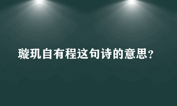 璇玑自有程这句诗的意思？