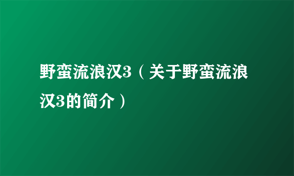 野蛮流浪汉3（关于野蛮流浪汉3的简介）