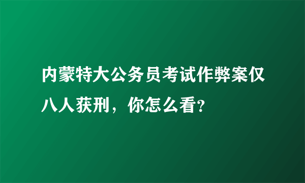 内蒙特大公务员考试作弊案仅八人获刑，你怎么看？