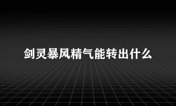 剑灵暴风精气能转出什么