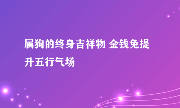 属狗的终身吉祥物 金钱兔提升五行气场