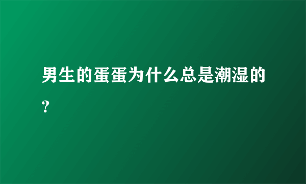 男生的蛋蛋为什么总是潮湿的？