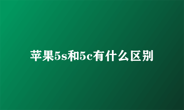 苹果5s和5c有什么区别