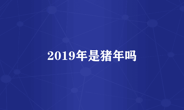 2019年是猪年吗