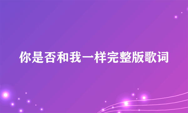 你是否和我一样完整版歌词