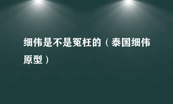 细伟是不是冤枉的（泰国细伟原型）