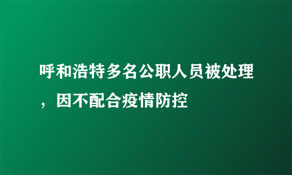 呼和浩特多名公职人员被处理，因不配合疫情防控