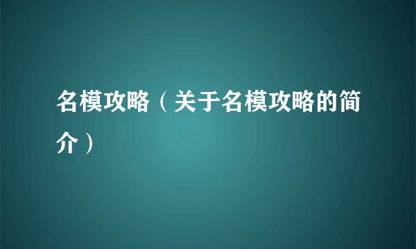 名模攻略（关于名模攻略的简介）