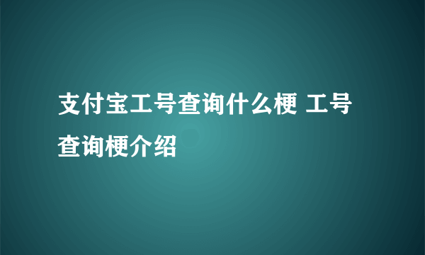 支付宝工号查询什么梗 工号查询梗介绍