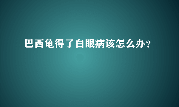 巴西龟得了白眼病该怎么办？