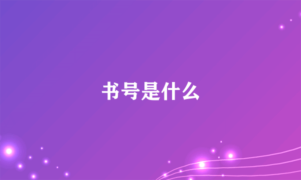 书号是什么