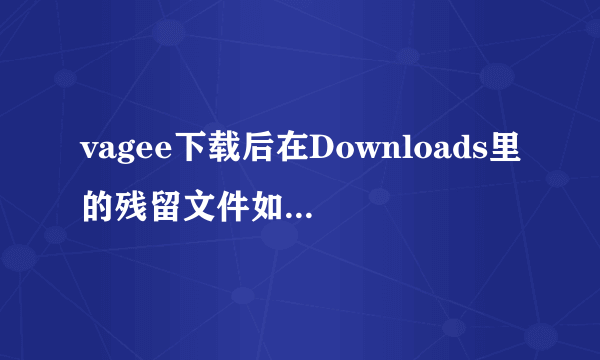 vagee下载后在Downloads里的残留文件如何删除？