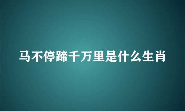 马不停蹄千万里是什么生肖