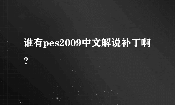 谁有pes2009中文解说补丁啊？