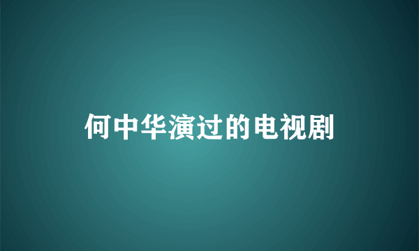 何中华演过的电视剧