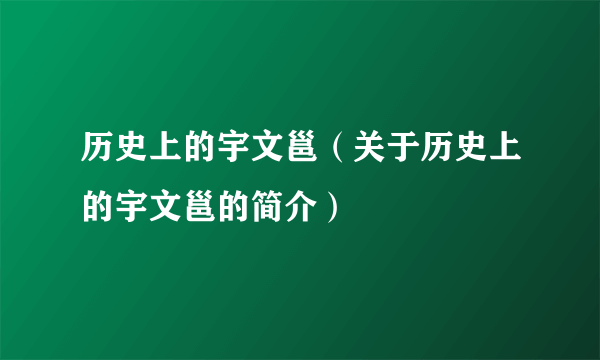 历史上的宇文邕（关于历史上的宇文邕的简介）