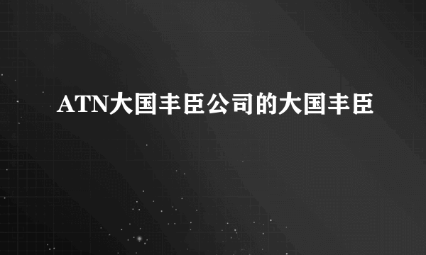 ATN大国丰臣公司的大国丰臣