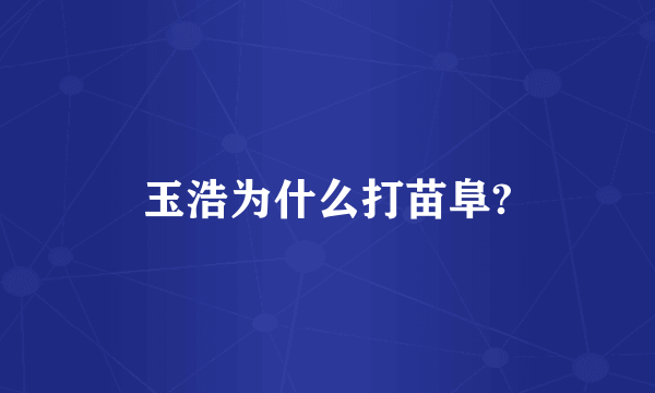 玉浩为什么打苗阜?