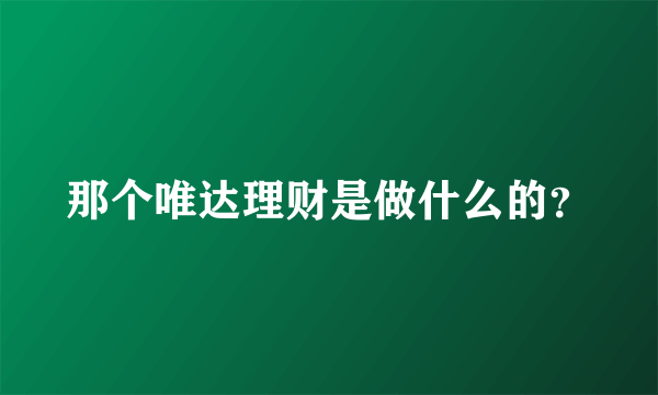 那个唯达理财是做什么的？