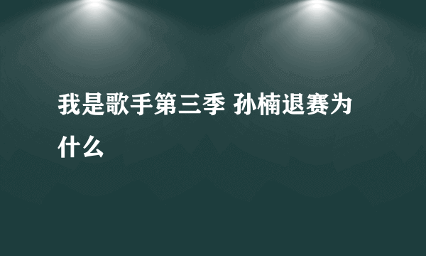 我是歌手第三季 孙楠退赛为什么